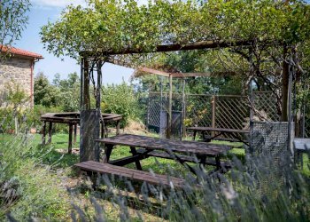 Giardino - Villa VIA DI ARCIDOSSO
 
SNC, Arcidosso - foto 44