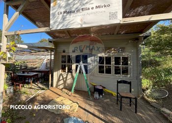 ANNESSO - Terreno agricolo VIA DI MELETA, Roccastrada - foto 4