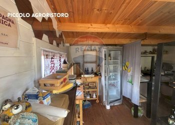 ANNESSO - Terreno agricolo VIA DI MELETA, Roccastrada - foto 5