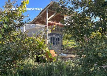 Casa all\'aperto - Terreno agricolo VIA DI MELETA, Roccastrada - foto 6