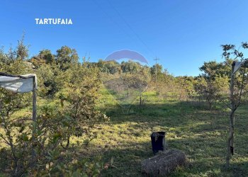 TERRENO - Terreno agricolo VIA DI MELETA, Roccastrada - foto 8