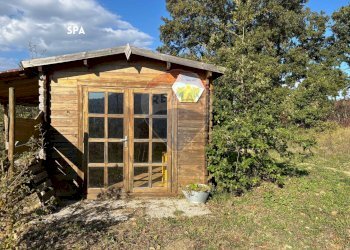 ANNESSO - Terreno agricolo VIA DI MELETA, Roccastrada - foto 10