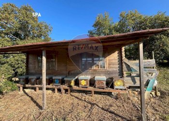 ANNESSO - Terreno agricolo VIA DI MELETA, Roccastrada - foto 11