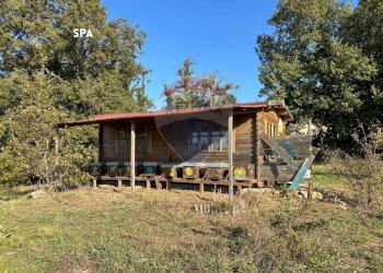 ANNESSO - Terreno agricolo VIA DI MELETA, Roccastrada - foto 12