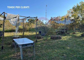 Giardino - Terreno agricolo VIA DI MELETA, Roccastrada - foto 14