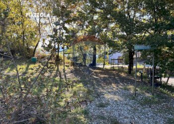 TERRENO - Terreno agricolo VIA DI MELETA, Roccastrada - foto 16