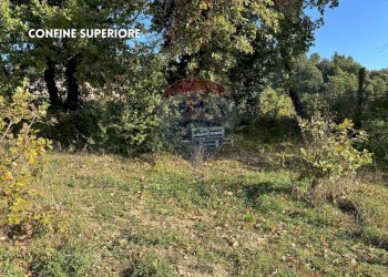 TERRENO - Terreno agricolo VIA DI MELETA, Roccastrada - foto 17