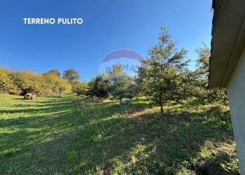 Giardino - Terreno agricolo VIA DI MELETA, Roccastrada - foto 18