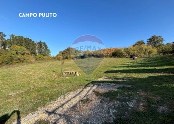 TERRENO - Terreno agricolo VIA DI MELETA, Roccastrada - foto 20