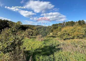 Vista delle montagne - Terreno agricolo VIA DI MELETA, Roccastrada - foto 21