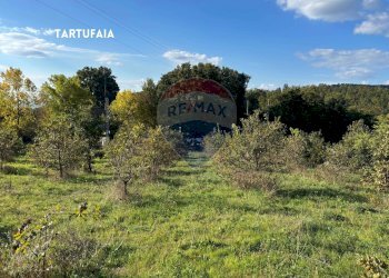 TERRENO - Terreno agricolo VIA DI MELETA, Roccastrada - foto 23