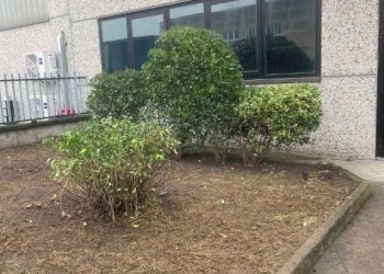 Facciata - Capannone via Liguria, Cornegliano Laudense - foto 7