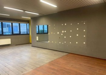 Interno non residenziale - Capannone via Liguria, Cornegliano Laudense - foto 49