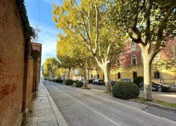 Zona - Negozio via Bartolomeo Bruni, 3, Cuneo (zona Centro) - foto 24