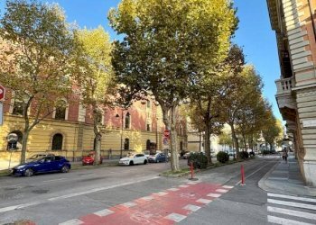 Zona - Negozio via Bartolomeo Bruni, 3, Cuneo (zona Centro) - foto 38