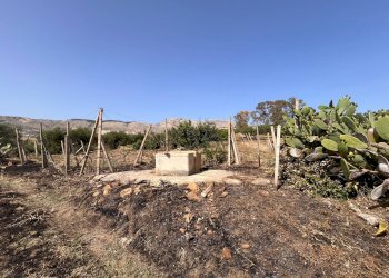 Foto 5 - Rustico Blandano, Buseto Palizzolo - foto 5