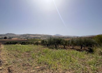 Foto 6 - Rustico Blandano, Buseto Palizzolo - foto 6