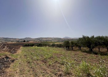 Foto 7 - Rustico Blandano, Buseto Palizzolo - foto 7