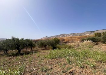 Foto 8 - Rustico Blandano, Buseto Palizzolo - foto 8