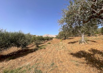 Foto 9 - Rustico Blandano, Buseto Palizzolo - foto 9