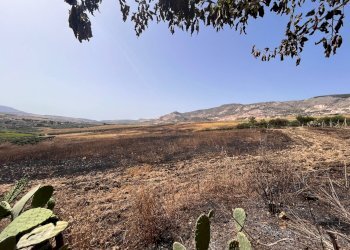 Foto 10 - Rustico Blandano, Buseto Palizzolo - foto 10