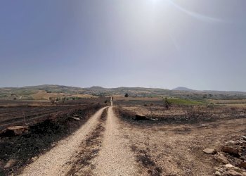 Foto 23 - Rustico Blandano, Buseto Palizzolo - foto 23