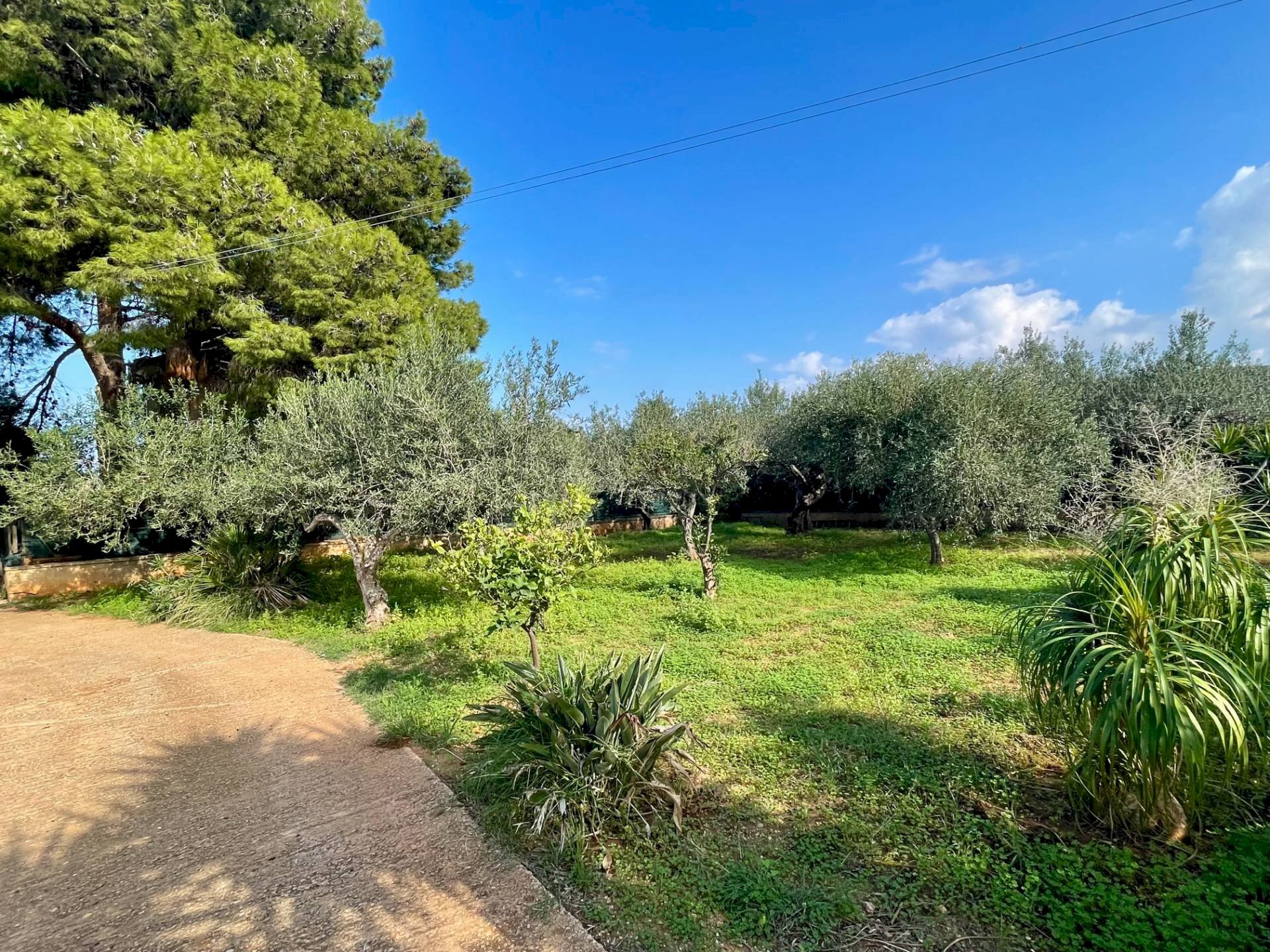 Foto 3 - Villa Calabianca, Castellammare del Golfo - photo 3