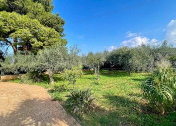 Foto 3 - Villa Calabianca, Castellammare del Golfo - photo 3