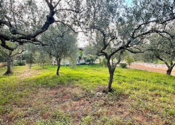 Foto 5 - Villa Calabianca, Castellammare del Golfo - photo 5