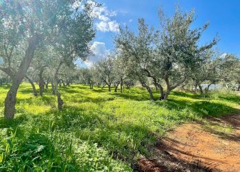 Foto 6 - Villa Calabianca, Castellammare del Golfo - photo 6