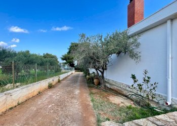 Foto 11 - Villa Calabianca, Castellammare del Golfo - photo 11