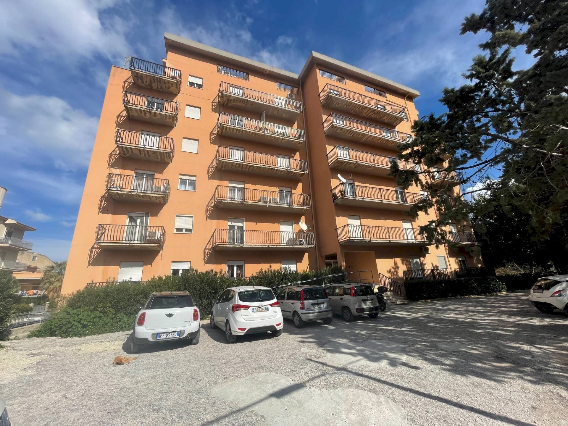 Foto 1 - Appartamento Duchessa
 
23, Castellammare del Golfo - planimetria 1