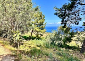 Foto 48 - Villa Castellammare del Golfo - foto 48