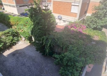 Giardino - Three-room apartment Via Delle Sirene
 
19, Roma - photo 40