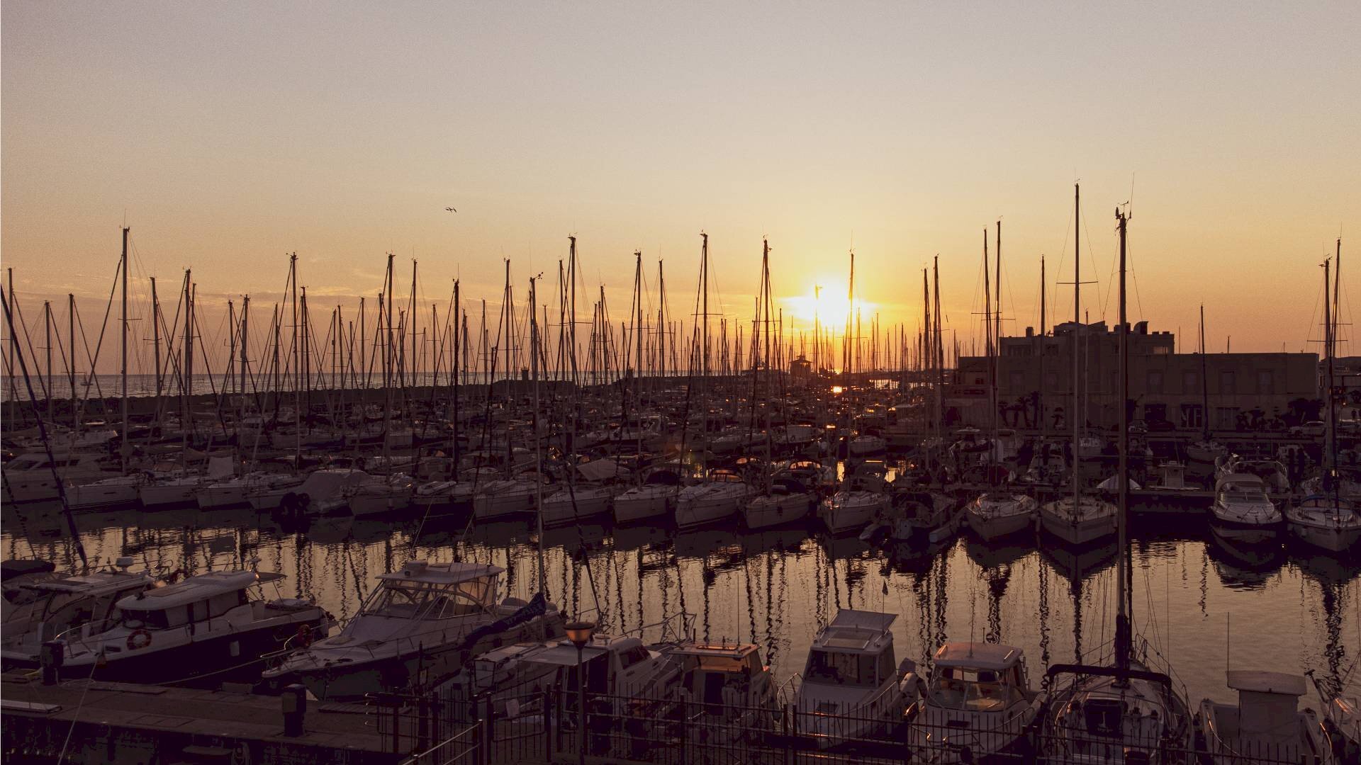Edificio all\'aperto - Commercial Premises Lungomare Duca degli Abruzzi
 
84, Roma - photo 2