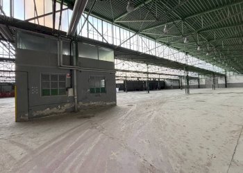 Capannone Gravellona Toce - foto 32