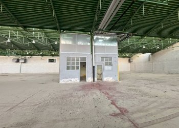 Capannone Gravellona Toce - foto 36