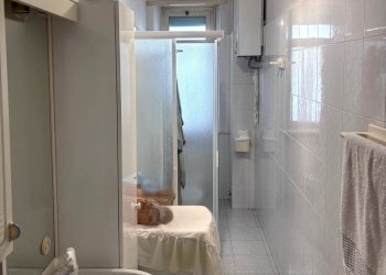 IMG_5677.jpg - Trilocale Via Nino Bixio 6, Beinasco - foto 19