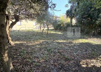 Giardino - Villa via Veneto 52, Castegnero - foto 6