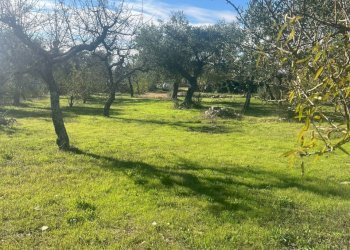 terreno - Rustico Via Vd'impelo, Castellana Grotte - foto 8