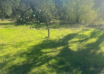 terreno - Rustico Via Vd'impelo, Castellana Grotte - foto 9