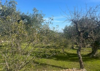 terreno - Rustico Via Vd'impelo, Castellana Grotte - foto 11