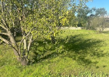 terreno - Rustico Via Vd'impelo, Castellana Grotte - foto 12