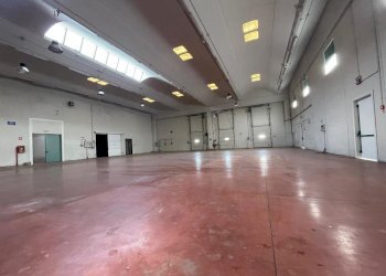 WhatsApp Image 2025-10-19 at 19.19.05.jpeg - Capannone Scordia - foto 8