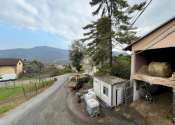 Rustico Borgata Colombè Superiore, Trana - foto 3