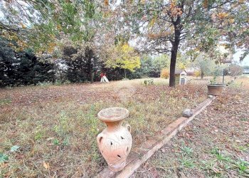 Villa Via Olmo, Medicina - foto 28