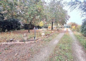 Villa Via Olmo, Medicina - foto 29