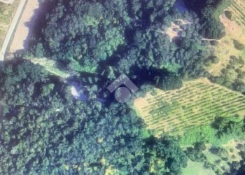 Agricultural land Via Roversano, Cesena - photo 8