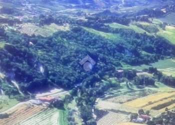 Agricultural land Via Roversano, Cesena - photo 9