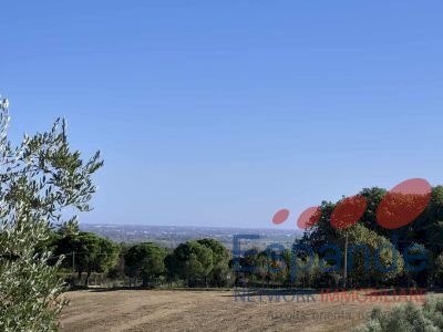 Terreno agricolo Forlì - foto 1